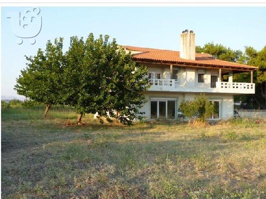 PoulaTo: Μονοκατοικια στη Θαλασσα σε 4,5 στρεμ οικοπεδο ευβοια
